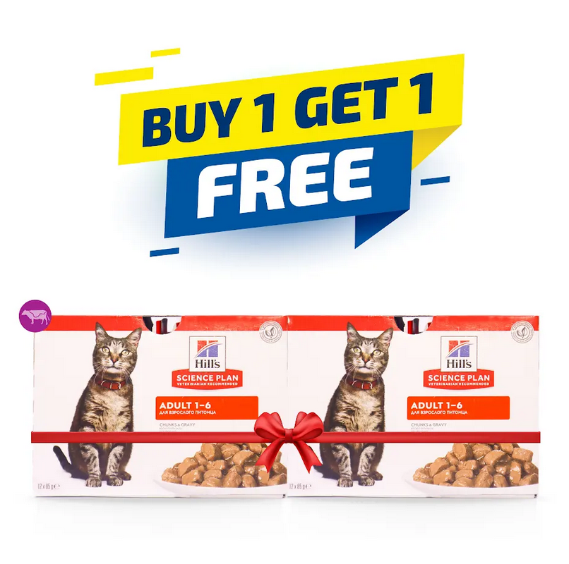 Hill's Science Plan Adult Wet Cat Food Beef Pouches 85gx12
